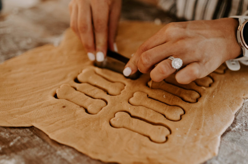 Homemade Dog Treats